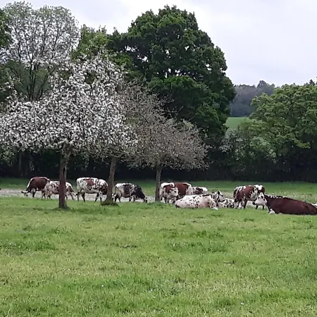 La Ferme Buissonniere La Lande-de-Louge