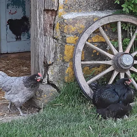 Hébergement de vacances La Ferme Buissonniere