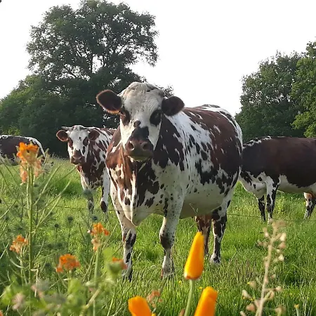 Hébergement de vacances La Ferme Buissonniere *